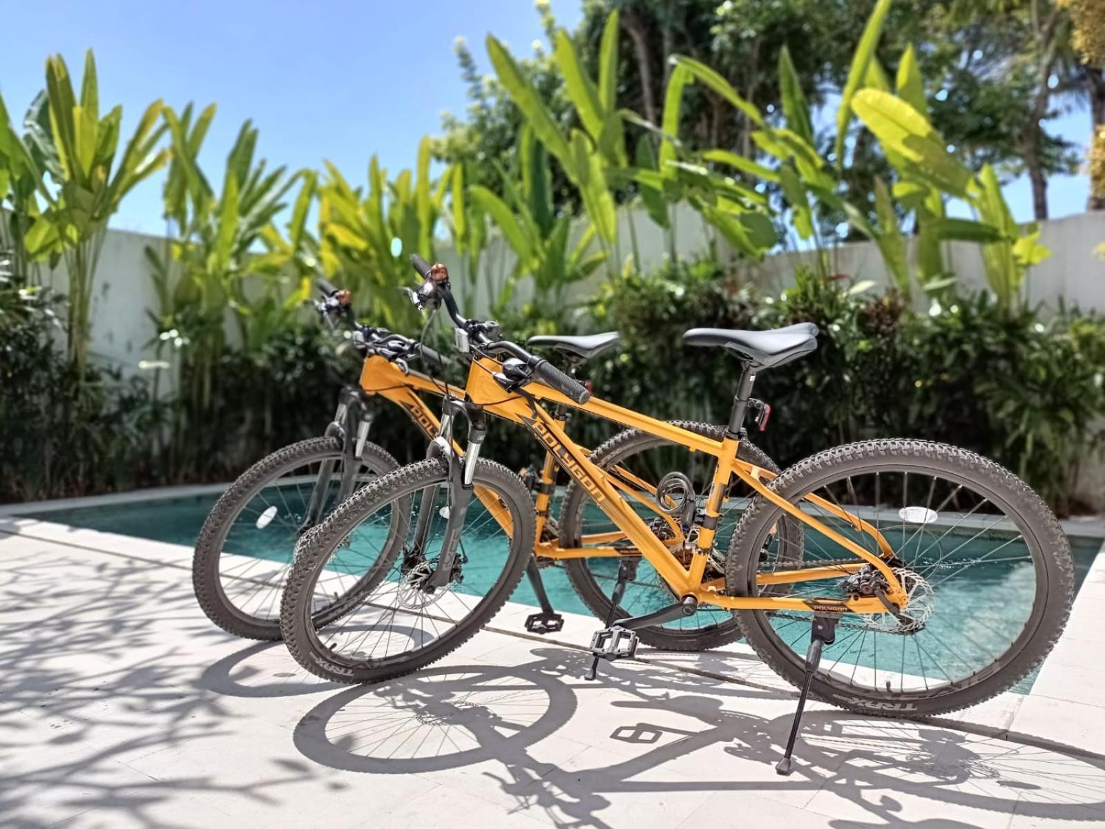 Rindik * Sanur (Bali)