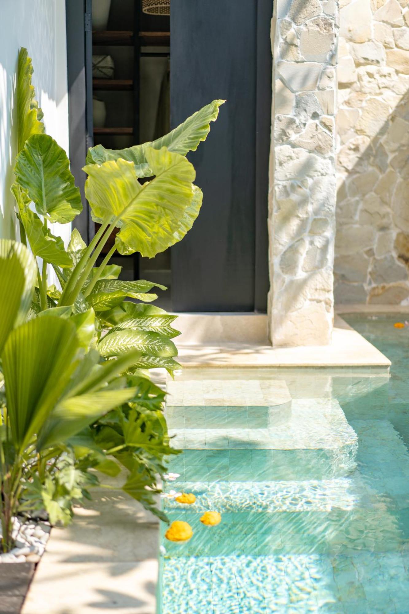 Zee Design & * Sanur