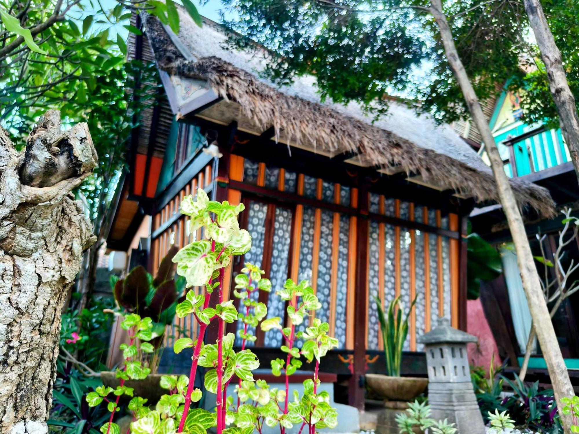 Panda Lumbung Sanur