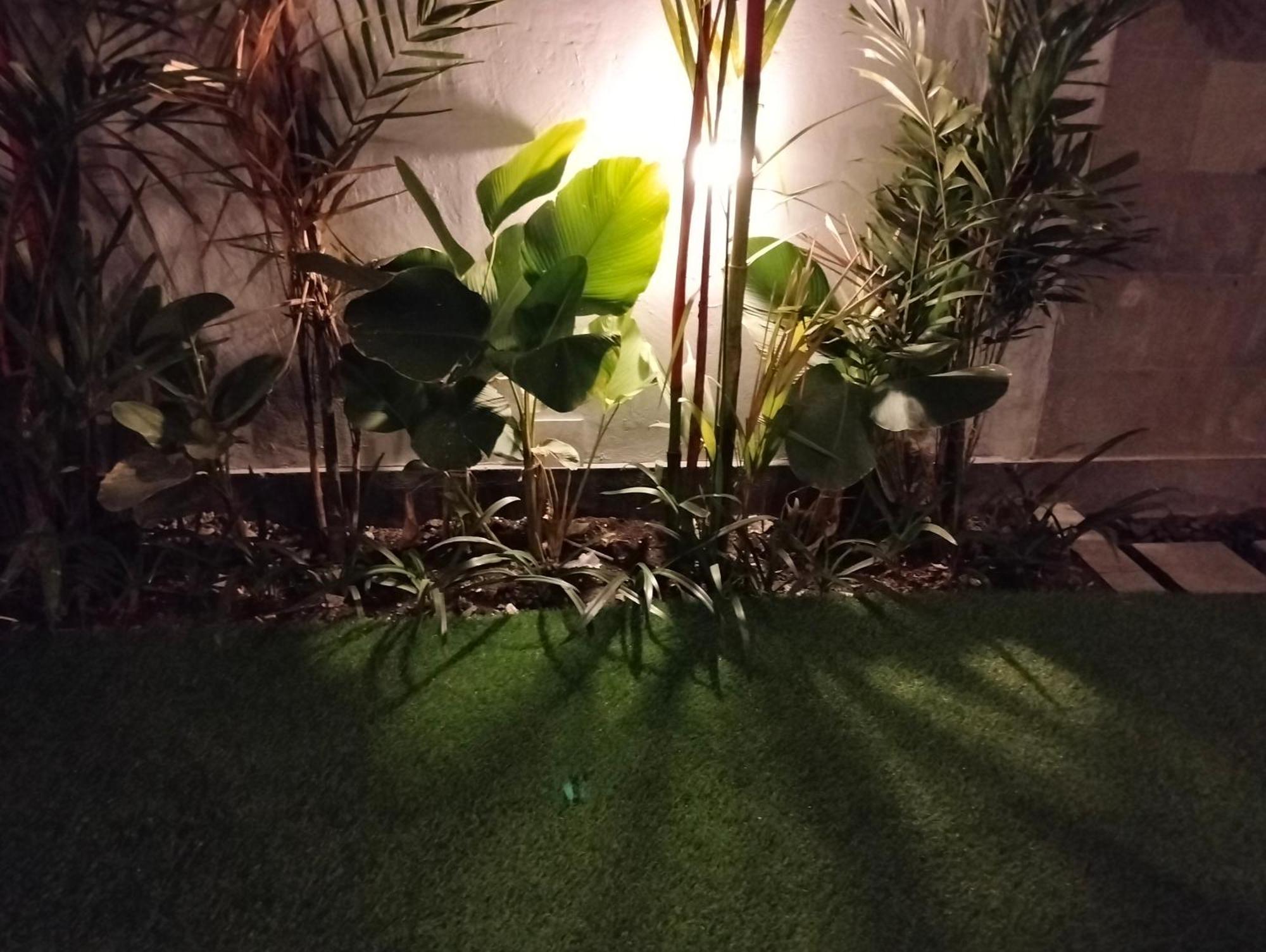 Kutus Bali