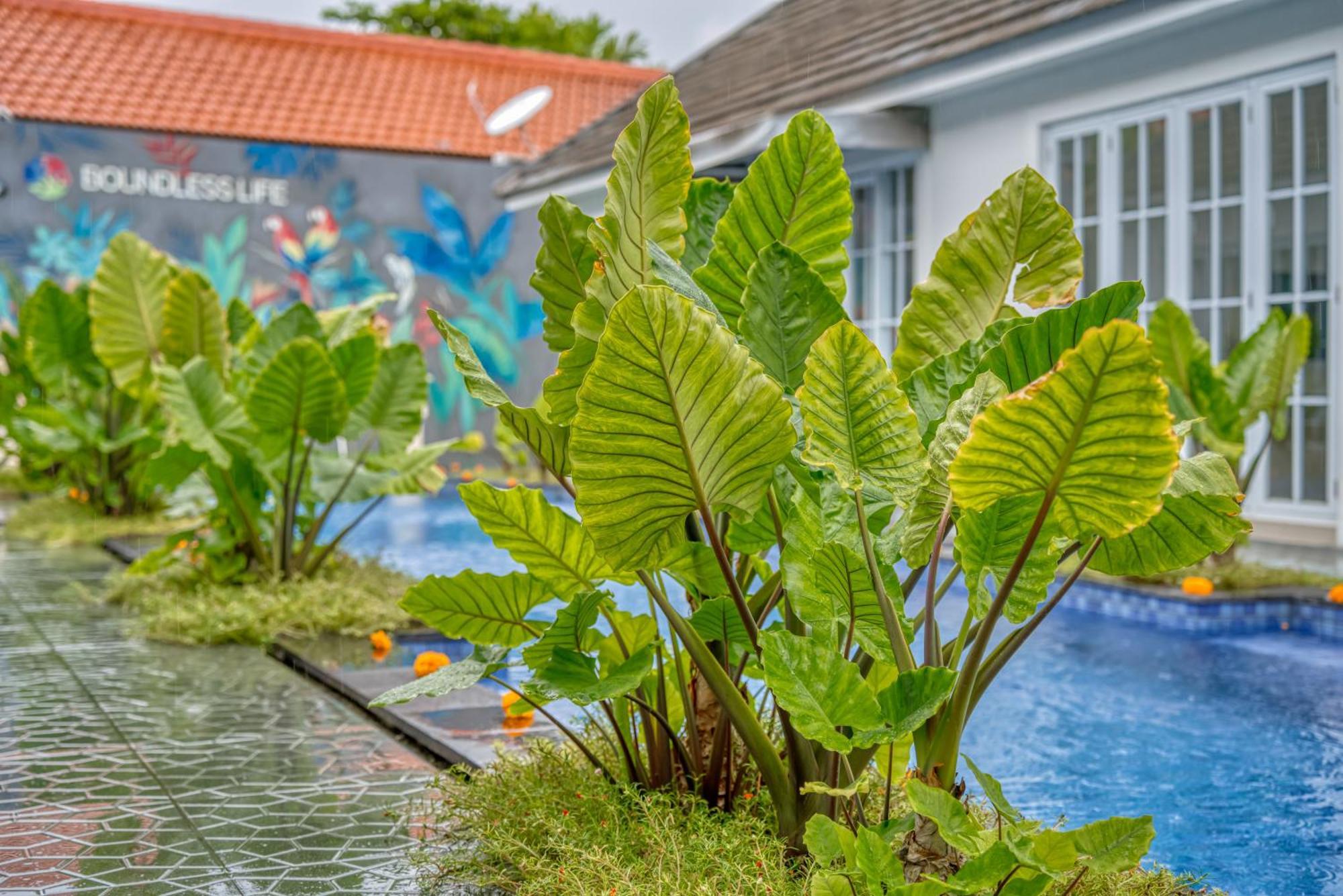 Apartment 3bd Modern In With Bbq & Huge Shared Pool Sanur (Bali)