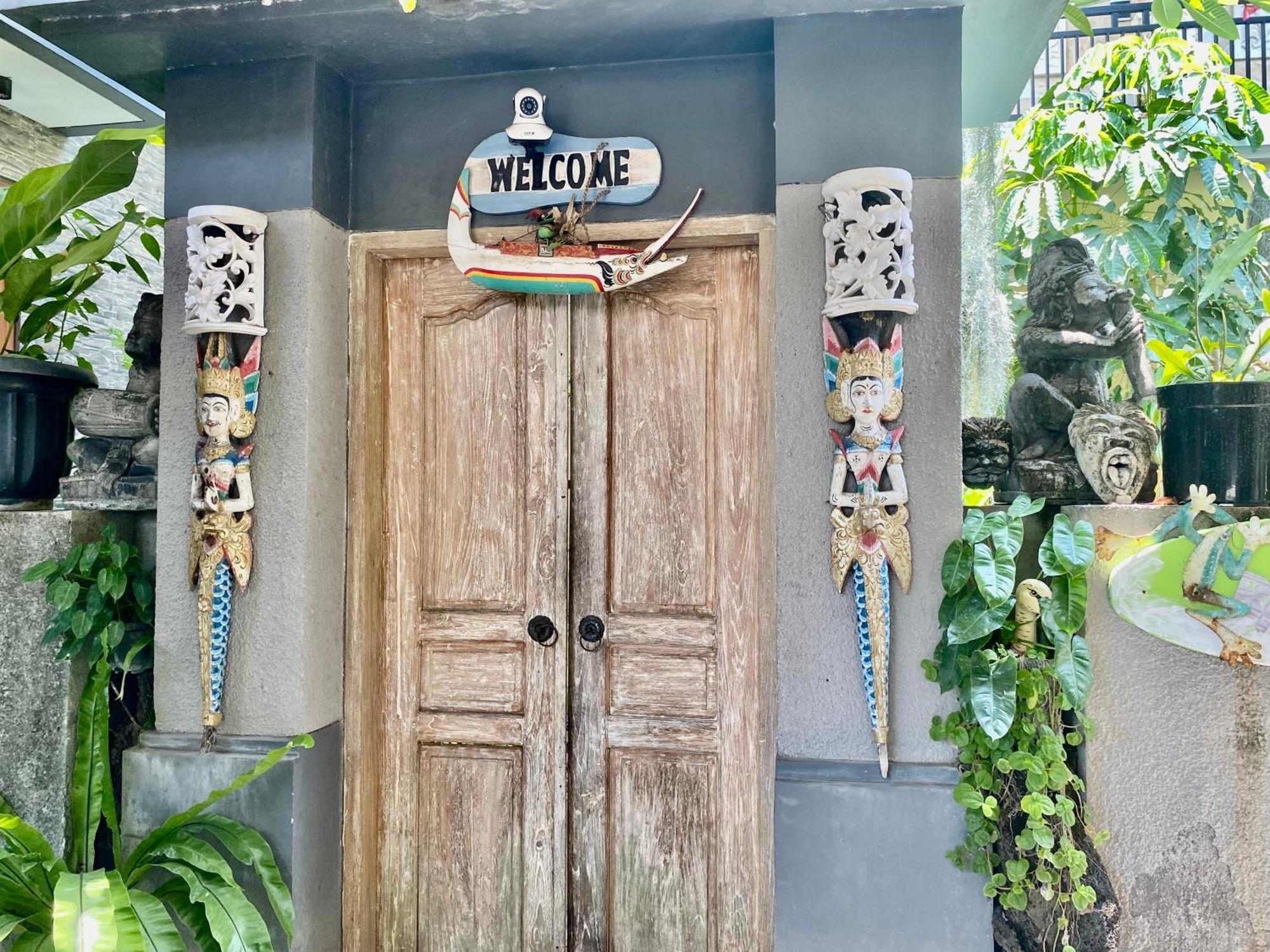 Frog * Sanur (Bali)