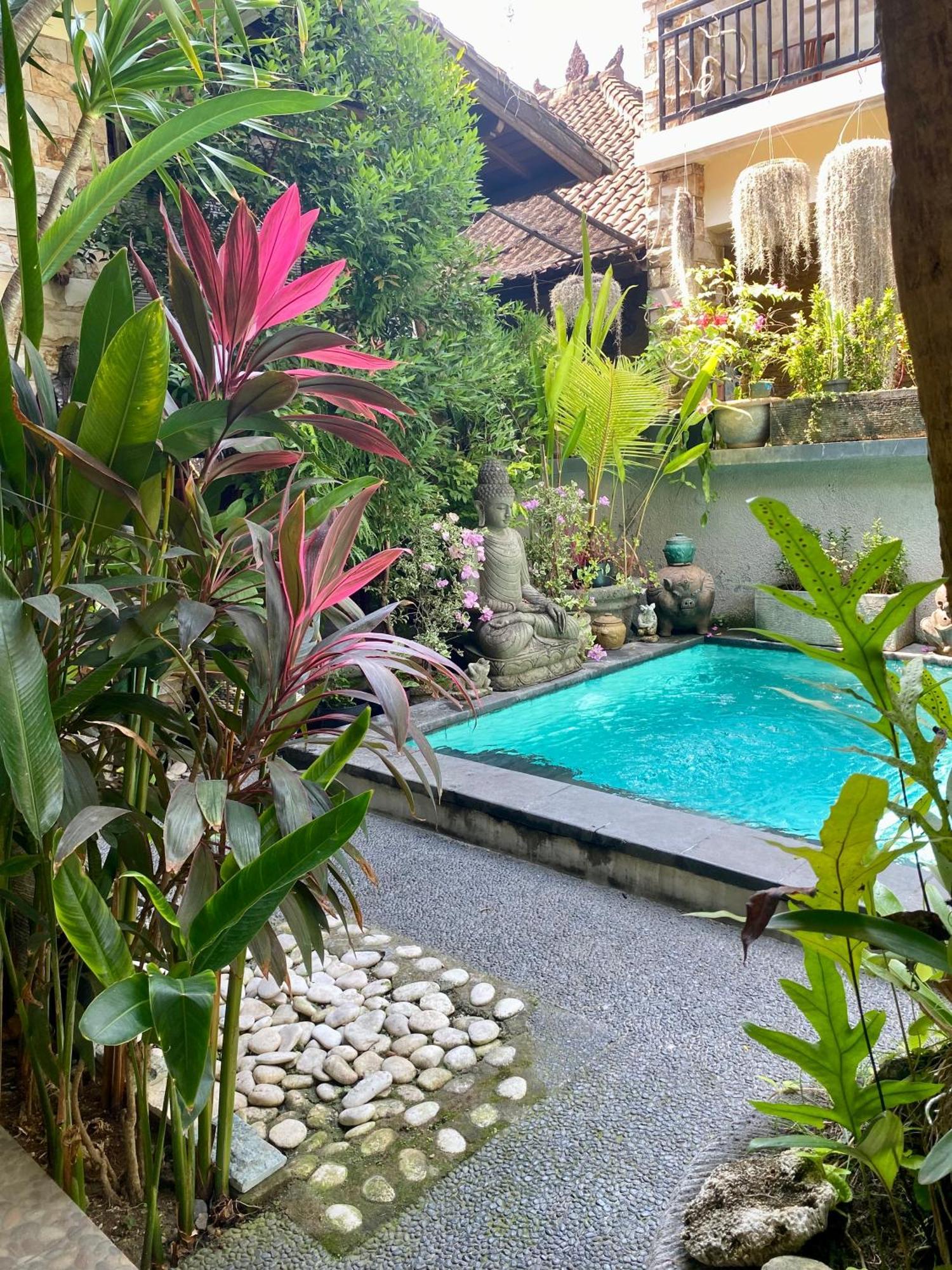 Frog Sanur (Bali)