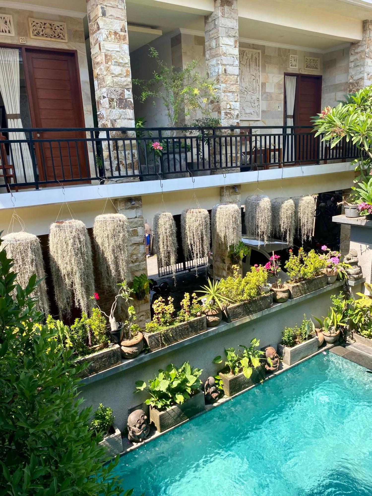 Frog Sanur (Bali)