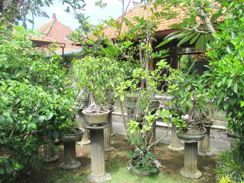 Mona * Sanur