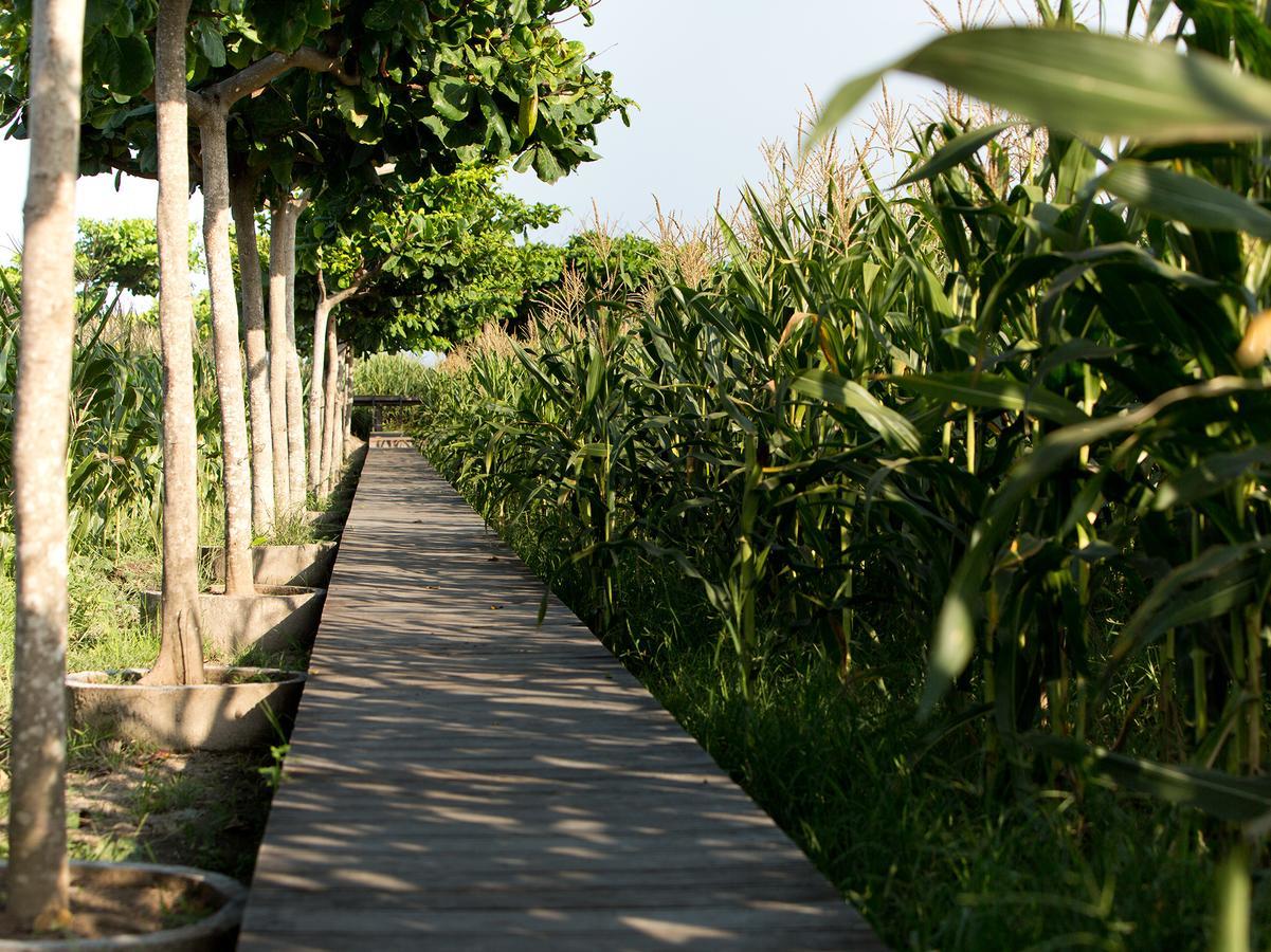 Sanur Residence Villa *