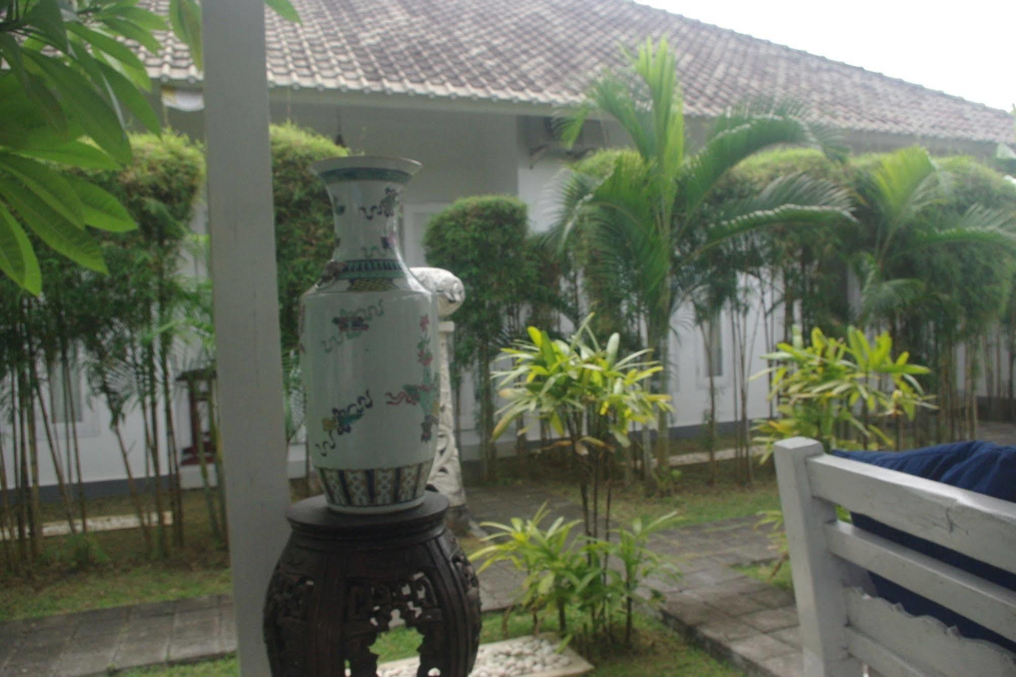 Starling Bali