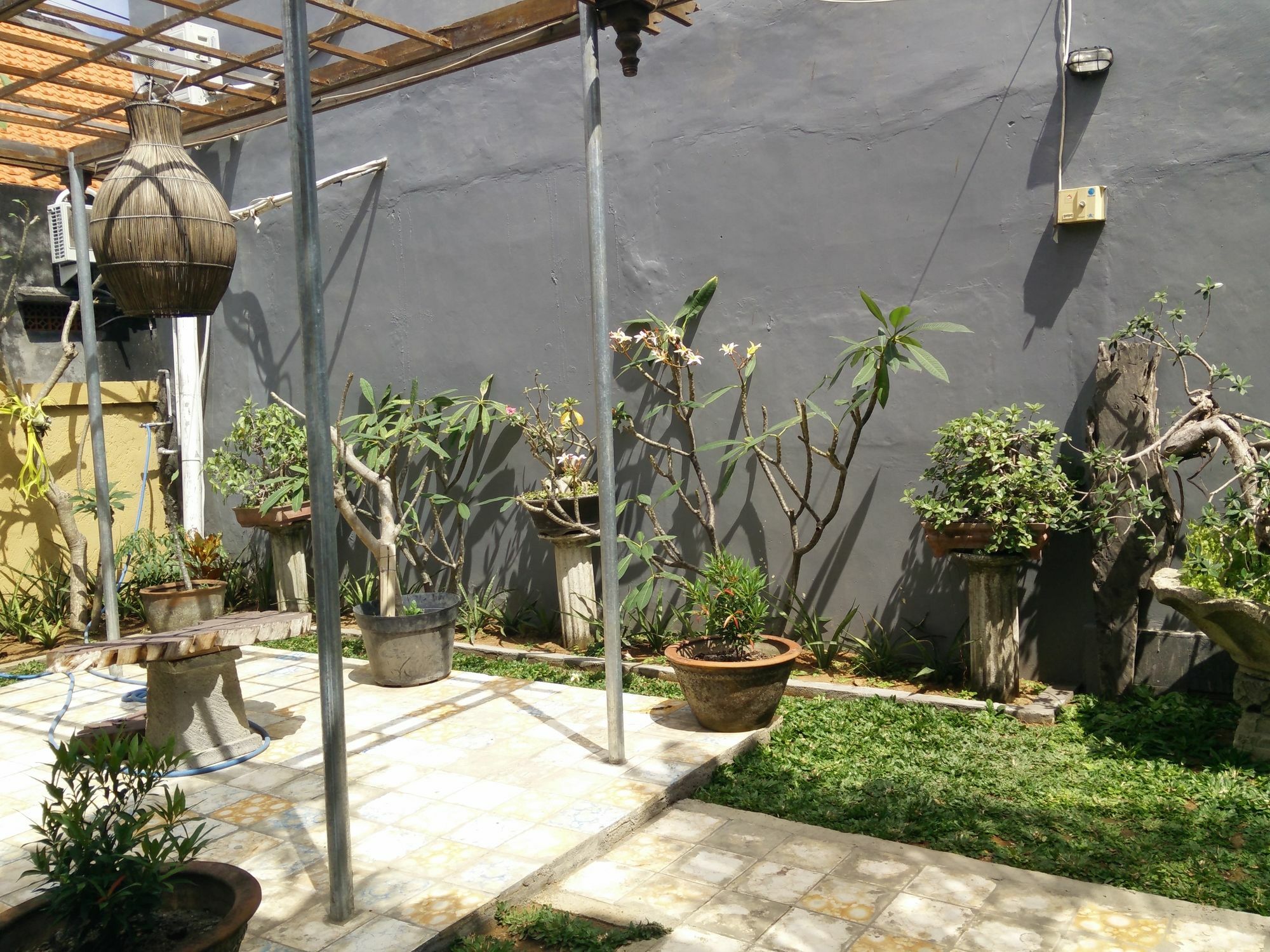 Double N Bali *