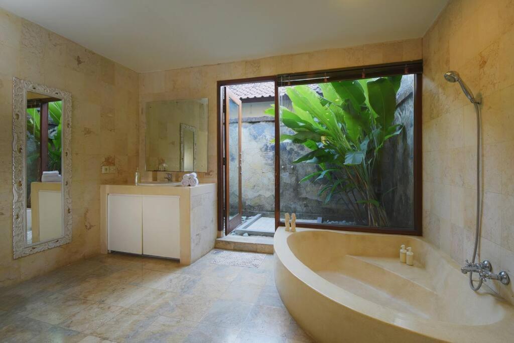 Tropical Oasis, Mimba *