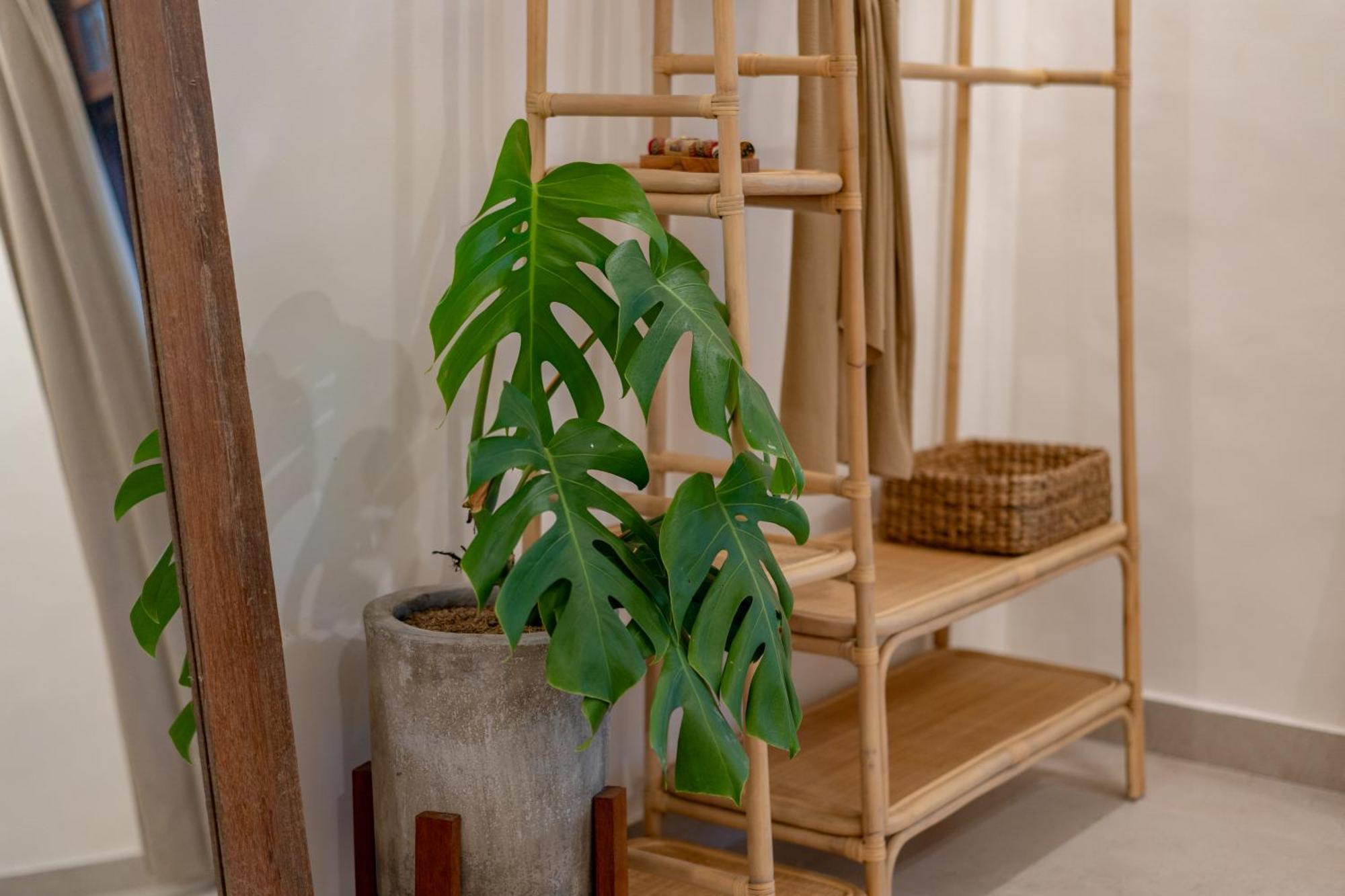 Villa Cozy Up Sanur (Bali)