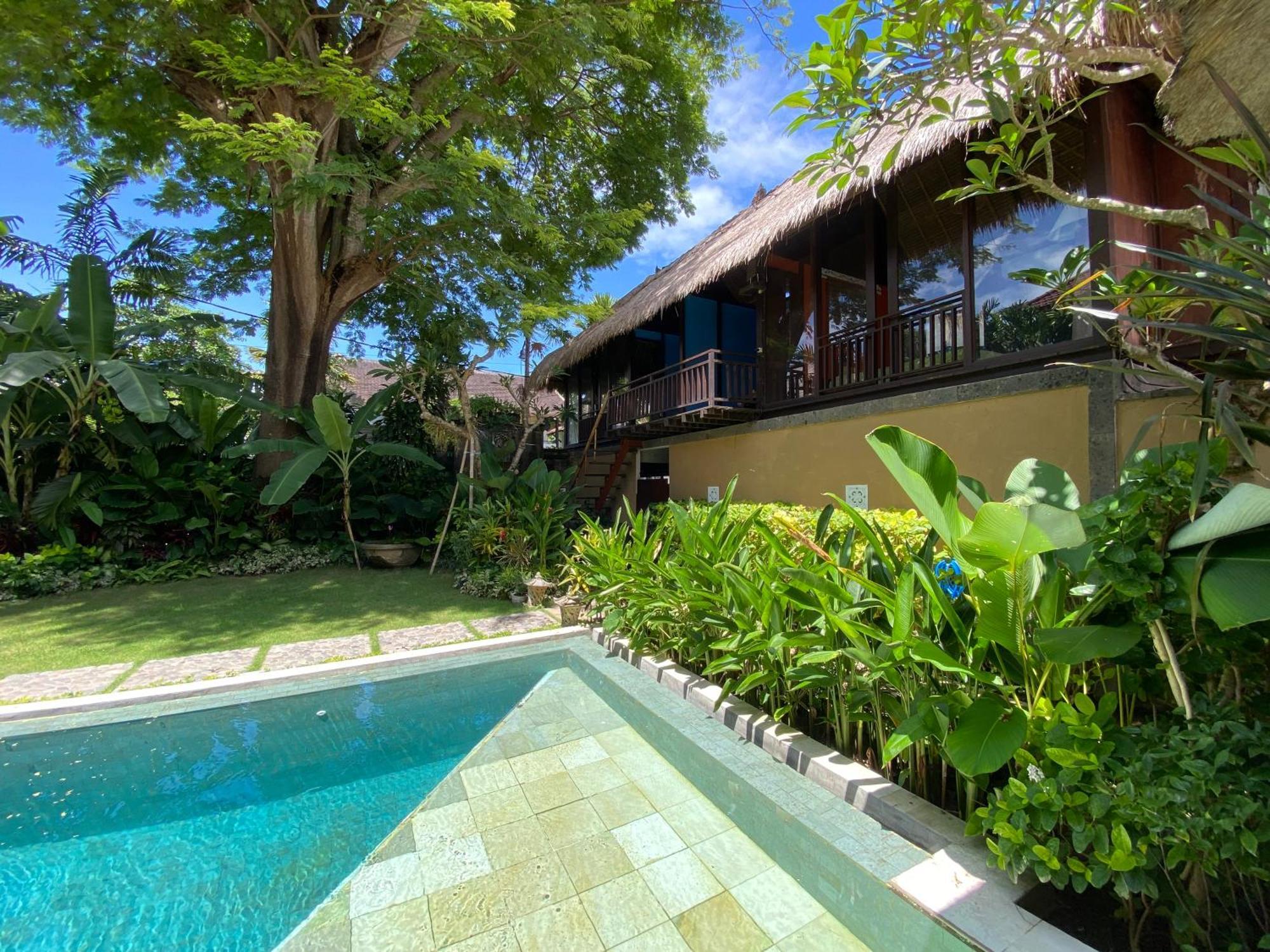 Little Tree House Guest house