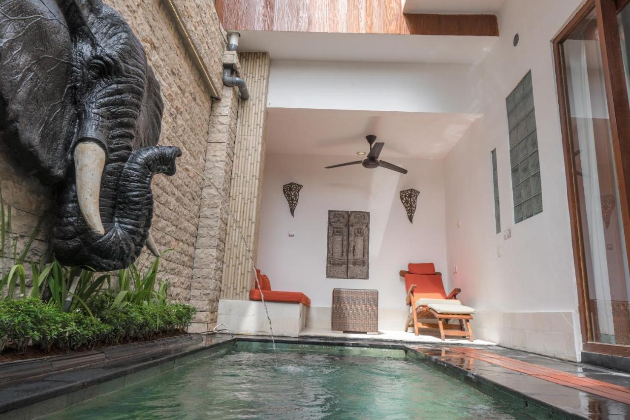 Colibry Sanur